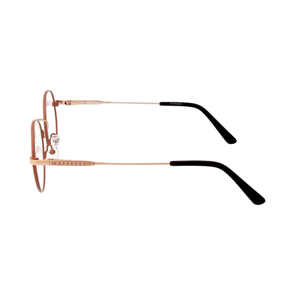 Eyewear (E2010/C1)